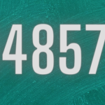 14857 engelli teşviki