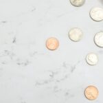 Gider Pusulası Nedir