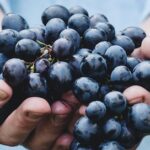 müstahsil makbuzu nedir